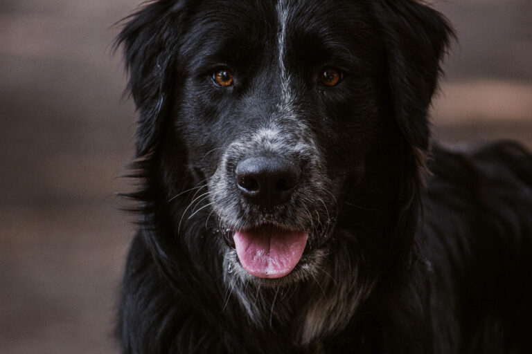 _MG_2018